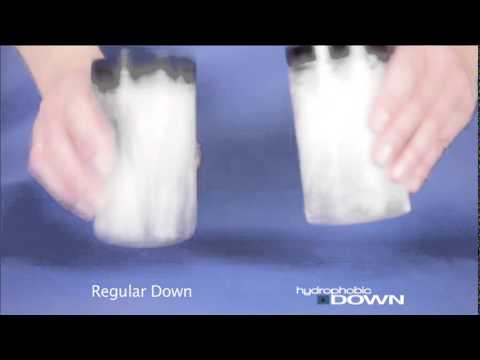 Cumulus Hydrophobic Down Cumulus Hydrophobic Down