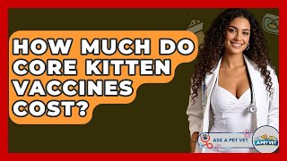 How Much Do Core Kitten Vaccines Cost? - Ask A Pet Vet