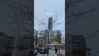 Toronto Vlog | Daily Life | Work | 토론토 직장인 브이로그 #Toronto #Vlog #Work #Food #Shorts #Dailyvlog #Daily