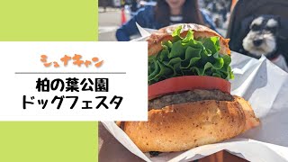 【イベント】柏の葉公園 ドッグフェスタ　”思わぬシュナ友さんに巡り会えた件”