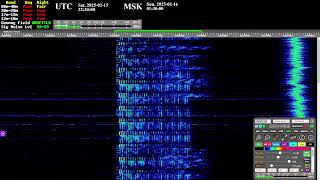 The Buzzer (4625khz) - Live