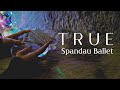 True - Spandau Ballet ♡ | Kalimba Cover w/ Tabs | Shan Records 💕