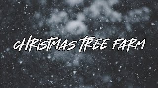 Taylor Swift- Christmas Tree Farm (Lyrics)