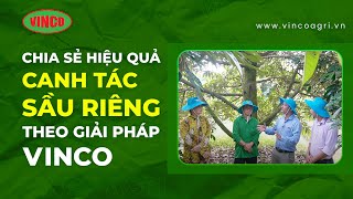 CHIA SẺ VỀ HIỆU QUẢ CANH TÁC SẦU RIÊNG THEO GIẢI PHÁP VINCO| BÍ QUYẾT ĐỂ SẦU RIÊNG BÁN ĐƯỢC GIÁ CAO