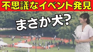 【山岸愛梨】これ何の集まり？お天気カメラで見つけた光景（ウェザーニュース切り抜き）