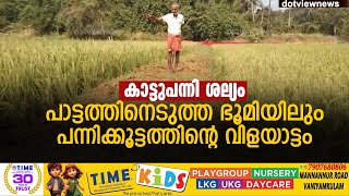 കാട്ടുപന്നിക്കൂട്ടത്തോട്തോറ്റു കൃഷിയിടത്തിലെവിളവ് ഉപേക്ഷിച്ചകർഷകന്പാട്ടത്തിനെടുത്തഭൂമിയിലുംതിരിച്ചടി