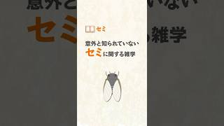 【セミ】意外と知られていないセミに関する雑学 #雑学 #雑学ラジオ #豆知識 #1分雑学 #暇つぶし #雑学豆知識 #雑学知識  #shorts