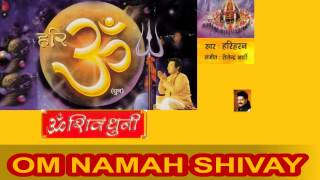 ॐ नमः शिवाय धुन Full Complete | Om Namah Shivay Dhun | Hariharan I Om Shiv Dhuni