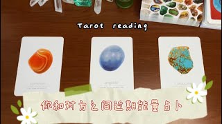 |Chipmunk占卜|你和对方之间近期能量分析☄️(心中无对象也可)Love reading 🌼Pick a card🧶