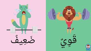 الكلمات وعكسها للأطفال | opposite words in Arabic for kids