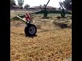 krone swadro rake