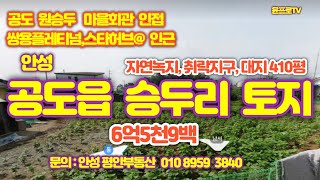 안성시 공도읍 승두리 자연녹지,취락지구,대지 410평 매매(6억5천9백)