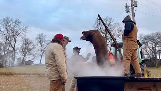 This IS The Way of our Ancestors || Family Hog Butchering || December 2024