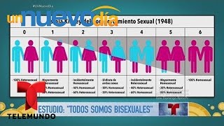 Un nuevo estudio asegura que todos somos bisexuales | Un Nuevo Día | Telemundo