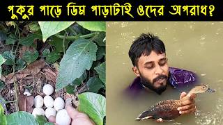 এক দুঃখিনী মা বালিহাঁসের জীবন কাহিনী |Bird Story-216| The life story of Lesser Whistling Duck | E08