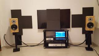 Densen b150 plus +Dynaudio Special Twenty-Five+dac Wadia di122 +virtual dynamics master nordost spm