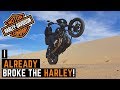 Wheelies Broke My Harley Dyna! Garage Update, Harley Dyna Issues, Learning Wheelies, Motovlog