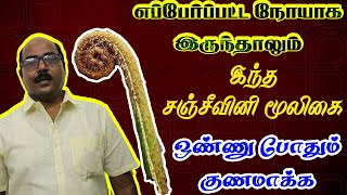 எப்பேர்ப்பட்ட நோயாக இருந்தாலும் இந்த சஞ்சீவினி மூலிகை ஒண்ணு போதும் குணமாக்க | Yogam | யோகம்