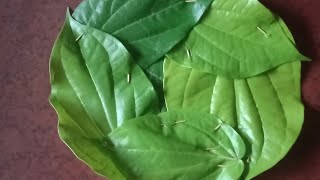 ఎప్పుడైనా తమల పాకులతో విస్తరాకు కుట్టారా/Betel Leaf Plates/Leaf Plates