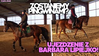 VLOG #160 |  ZOSTANIEMY PINGWINAMI? UJEŻDŻENIE Z BARBARĄ LIPIEJKO!