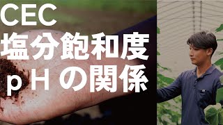 解決商品名を公開。【農業 収益UP】