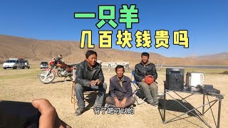 露营车自驾游西藏，草原深处露营，热情的牧民大哥邀请我去做客，我们一起喝酒吃肉唱歌#穷游 #西藏 #露营【行者北大双】