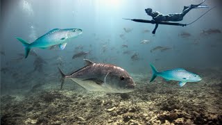 BERBURU IKAN BOBARA DAN GREEN JOB FISH DI SPOT DANGKAL