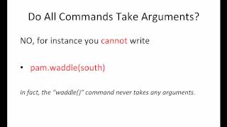 What are arguments in programming?
