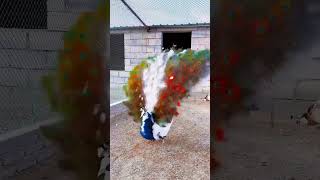 This peacock is looking very beautiful  #shorts #viral #youtubeshorts