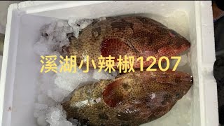 溪湖小辣椒🌶️海鮮叫賣🦞彰化縣溪湖鎮忠溪路386號往前200公尺1207