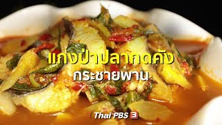 แกงป่าปลากดคัง กระชายพาน : สูตรอาหารพื้นบ้าน (31 ส.ค. 62)