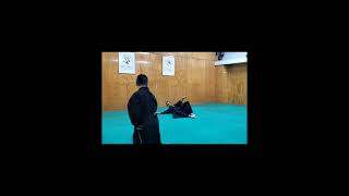 Model performance by Kuwami Sensei at Tenshinryu Mexico practice.