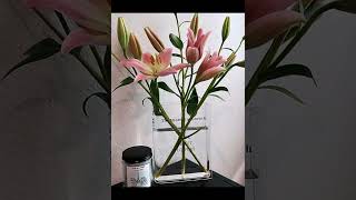 Puransen Book Vase for Flowers, Acrylic Clear Book Flower Vase, A Book About Flowers Vase