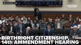 Moments from House hearing on birthright citizenship and 14th Amendment