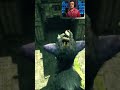 I need to hire a dog trainer - The Last Guardian