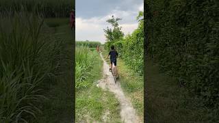 Gowes e sampek blasak ko sawah