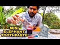 Mini Elephant Tooth Paste Experiment || Abhi tech