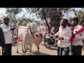 mudalagi cattles market ರಂಗಾಪುರದ ಪ್ರಸಿದ್ಧ ಎತ್ತುಗಳ ವ್ಯಾಪಾರಸ್ಥರು cattles bulls bullsmarket