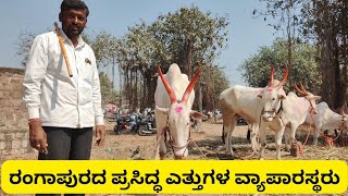 Mudalagi cattles market||ರಂಗಾಪುರದ ಪ್ರಸಿದ್ಧ ಎತ್ತುಗಳ ವ್ಯಾಪಾರಸ್ಥರು #cattles #bulls #bullsmarket