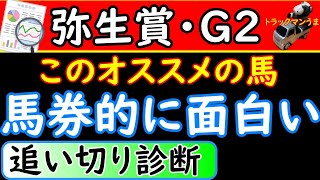 弥生賞2022年の追い切り診断！オススメの馬も発表しています