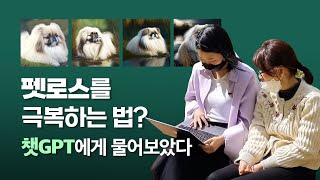 펫로스 증후군 극복, #챗gpt 에게 물어보다 (#미드저니  ) How to get out of the Pet Loss Syndrome that ChatGPT told you