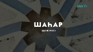 Шаһар шежіресі. Риддер