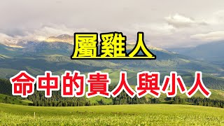 【十二生肖】屬雞人：命中的貴人與小人！