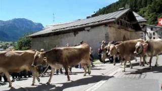 Almabtrieb in Müstair