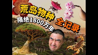 慎入！索科特拉岛神奇生物图鉴来啦！