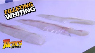 How to Fillet Whiting