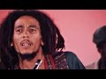 Bob Marley - Positive Vibration - TopPop Video 1976