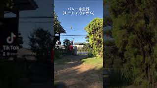 【バレー】一人スパイク練習