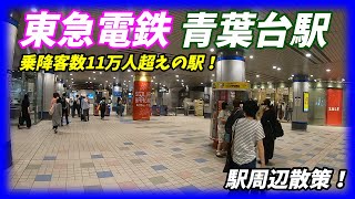 東急田園都市線、青葉台駅周辺を散策！(Japan Walking around Aobadai Station)