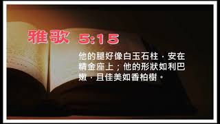 【淺嚐雅歌】5:15 他的腿好像白玉石柱，安在精金座上；他的形狀如利巴嫩，且佳美如香柏樹。